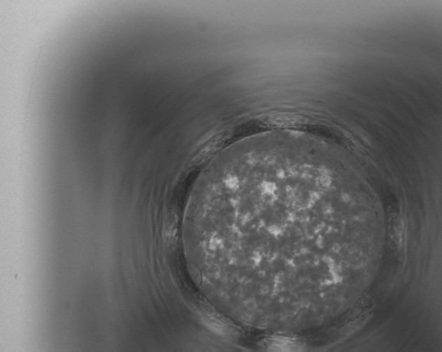 X0000080110507200612221808