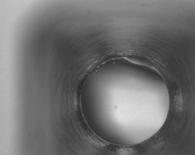 X0000080110508200612221808