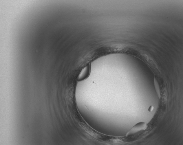 X0000080110509200612221808