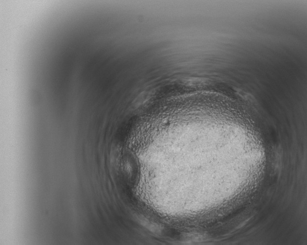 X0000080110511200612221808