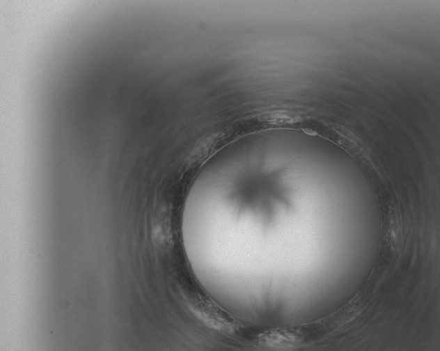 X0000080110512200612221808