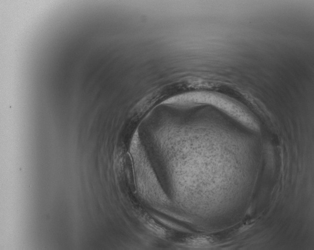 X0000080110513200612221808