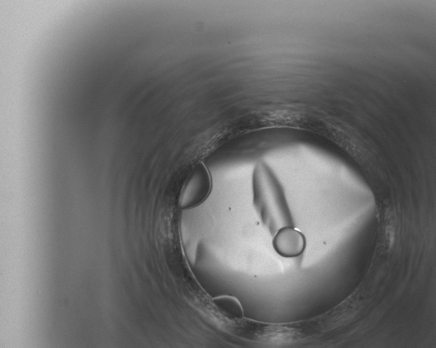 X0000080110514200612221808