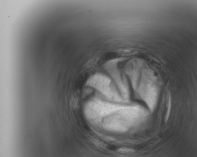 X0000080110515200612221808