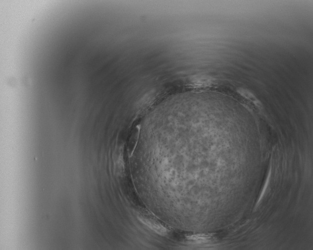 X0000080110516200612221808