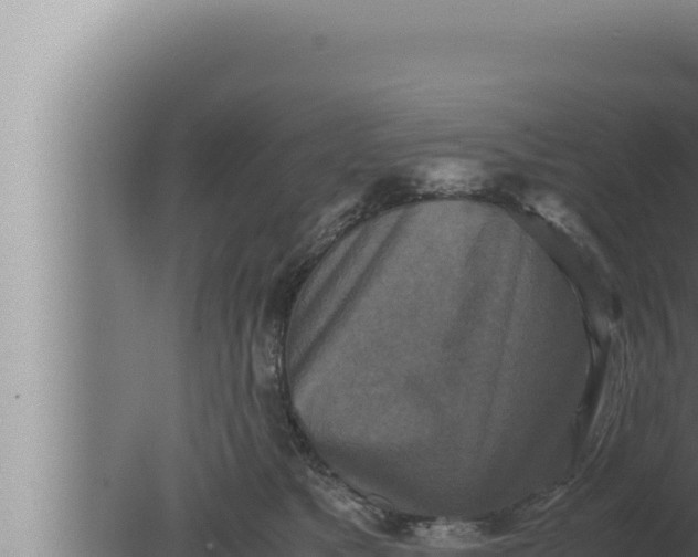 X0000080110517200612221808