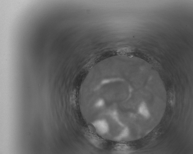 X0000080110519200612221808