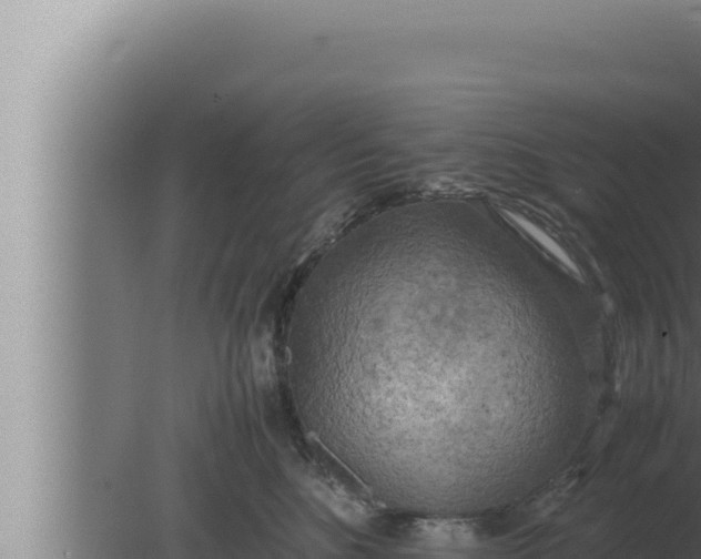 X0000080110520200612221808