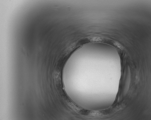 X0000080110521200612221808