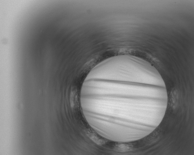 X0000080110522200612221808