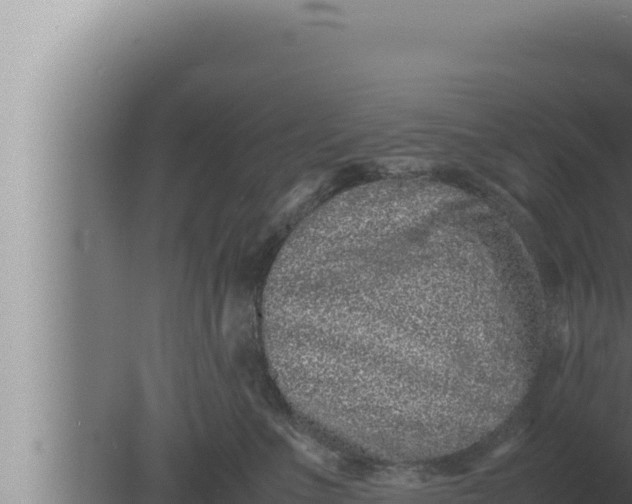 X0000080110523200612221808