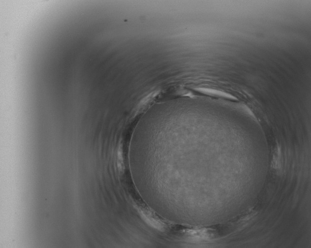 X0000080110524200612221808