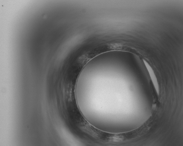 X0000080110525200612221808