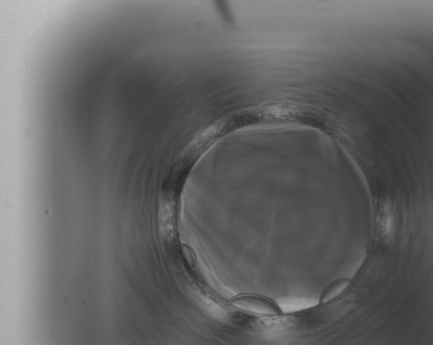 X0000080110526200612221808