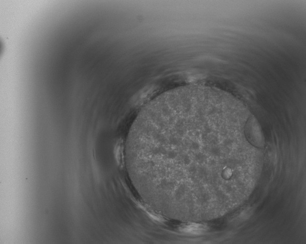 X0000080110527200612221808