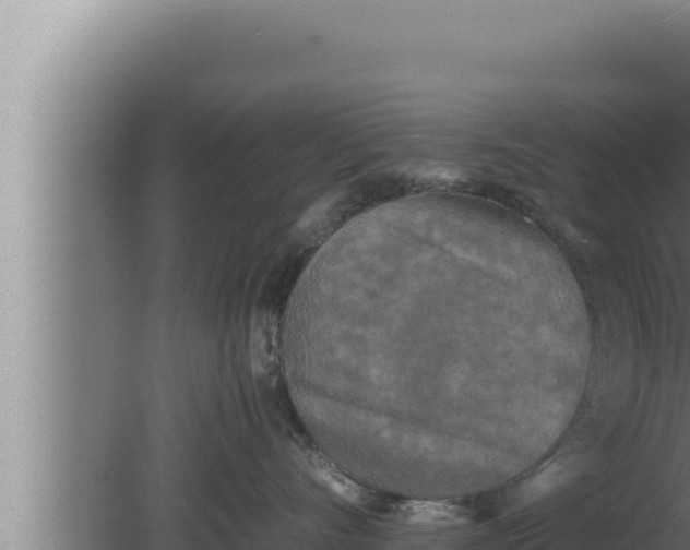 X0000080110528200612221808