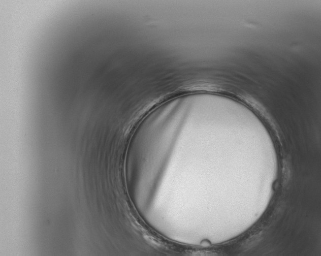 X0000080110529200612221807