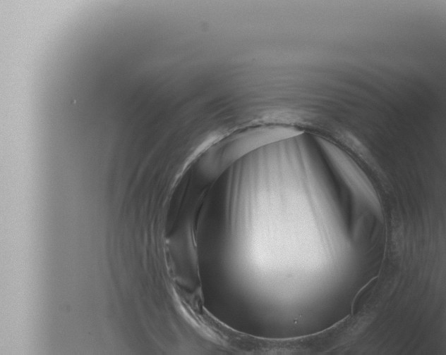 X0000080110530200612221807