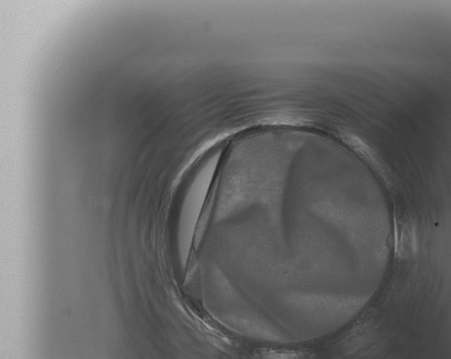 X0000080110531200612221807