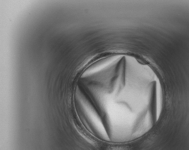 X0000080110533200612221807