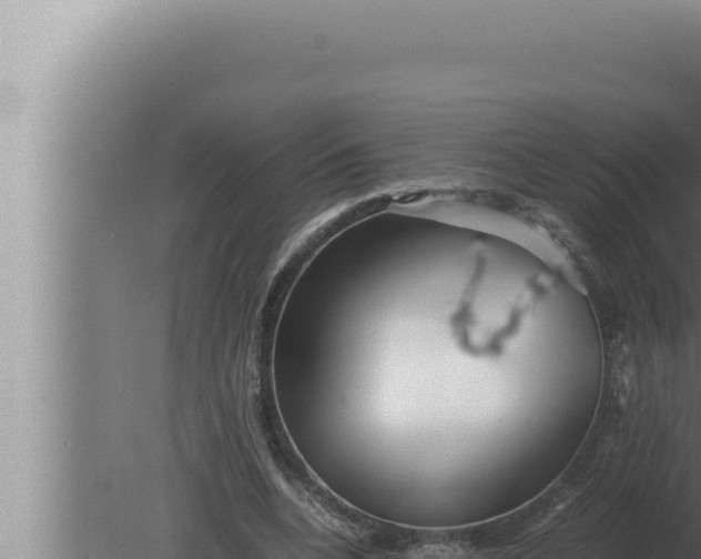 X0000080110536200612221807