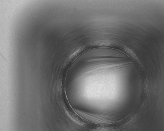 X0000080110538200612221807