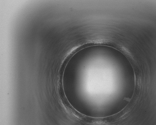 X0000080110540200612221807