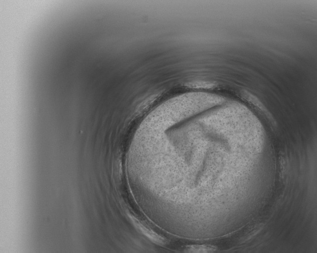 X0000080110541200612221807