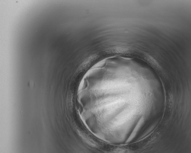 X0000080110542200612221807