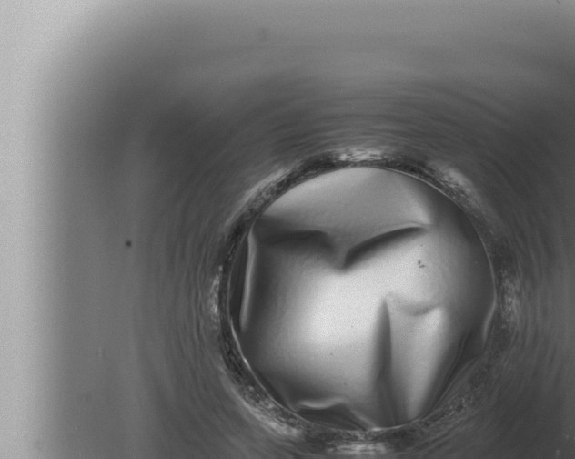 X0000080110543200612221807