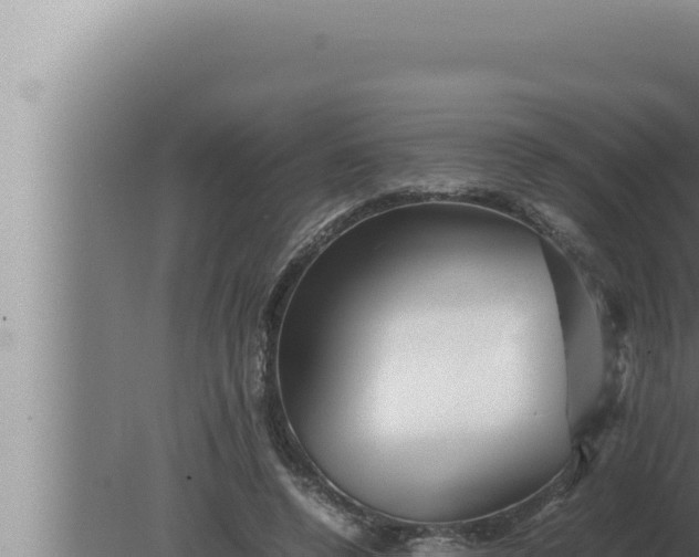 X0000080110544200612221807