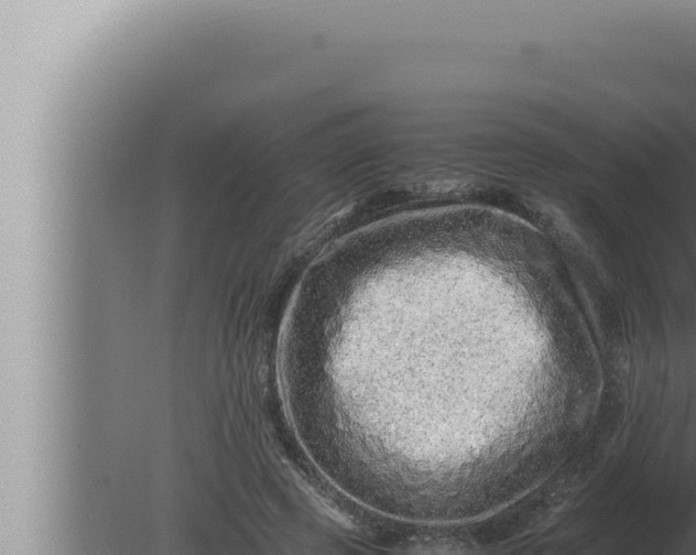 X0000080110545200612221807