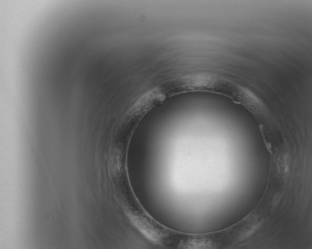 X0000080110546200612221807