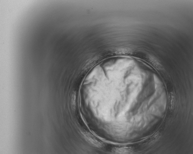 X0000080110550200612221807