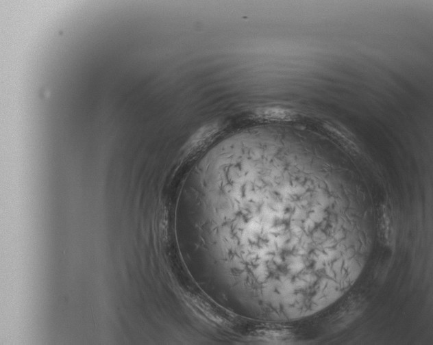 X0000080110552200612221807