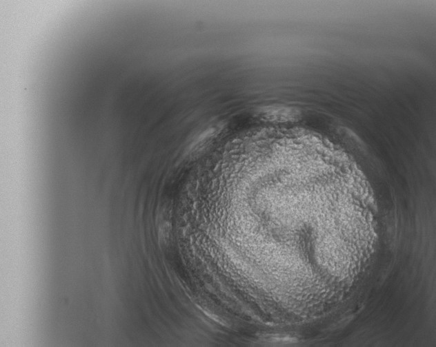 X0000080110553200612221807