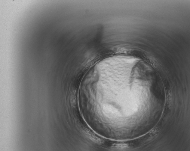 X0000080110554200612221807