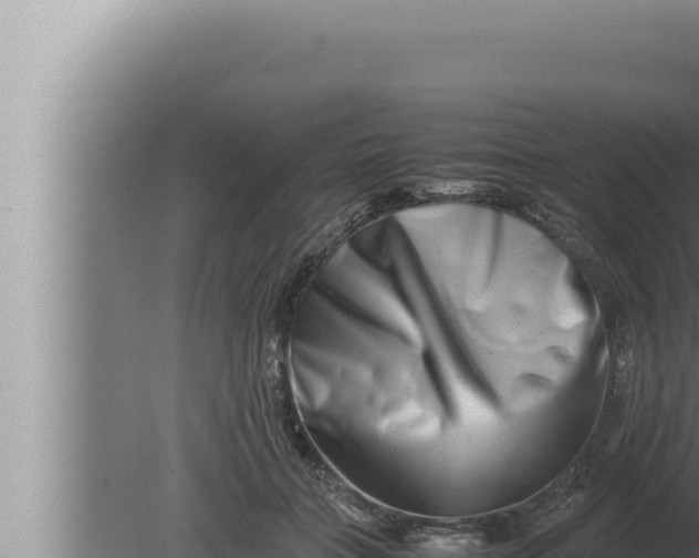 X0000080110555200612221807