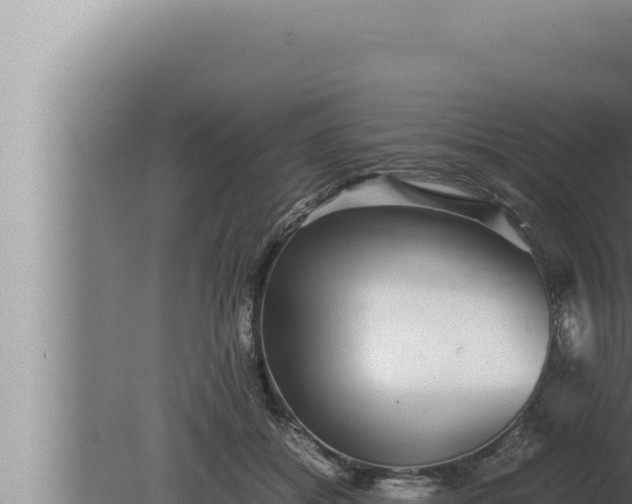 X0000080110556200612221807