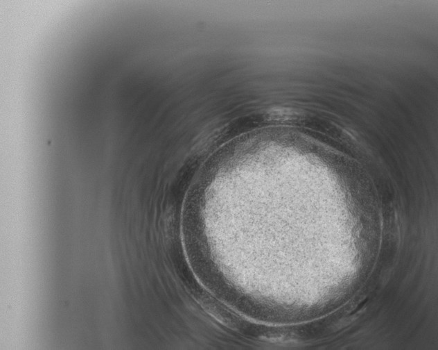 X0000080110557200612221807