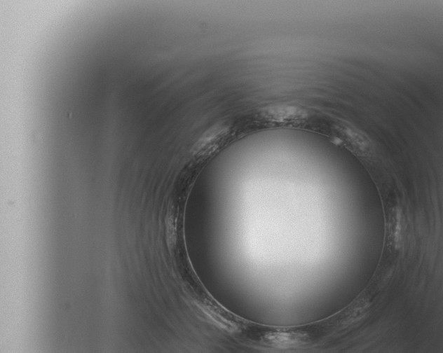 X0000080110558200612221807