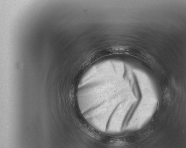 X0000080110559200612221807