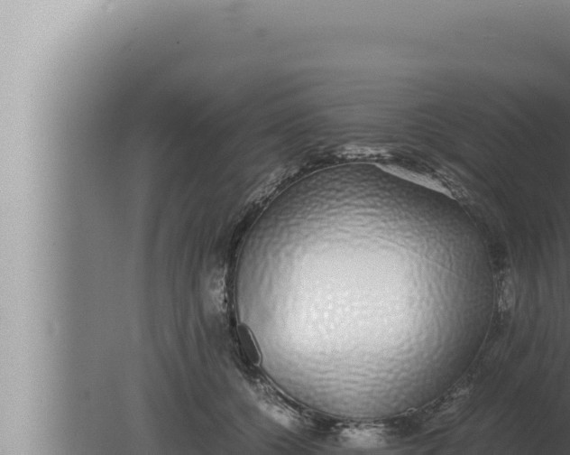 X0000080110560200612221807