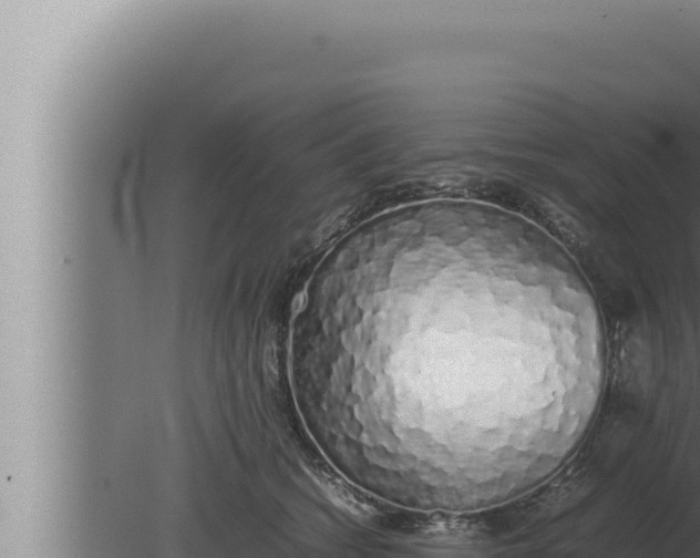 X0000080110562200612221807