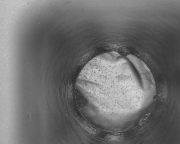 X0000080110563200612221807