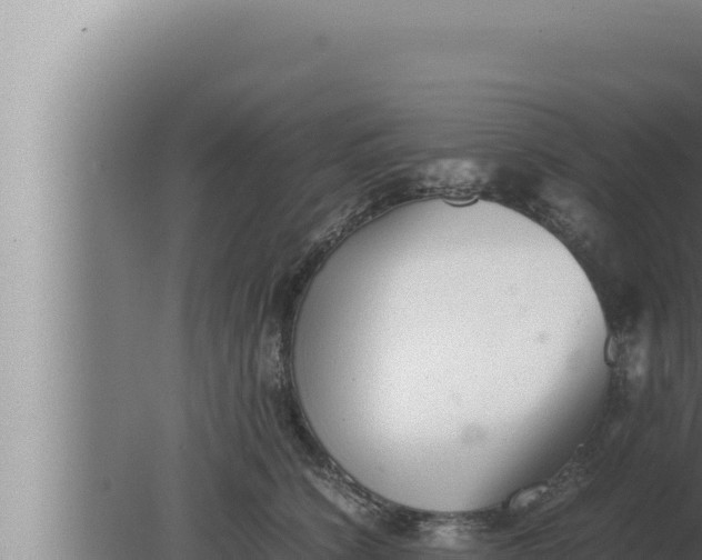 X0000080110564200612221807