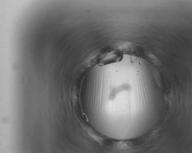 X0000080110566200612221808