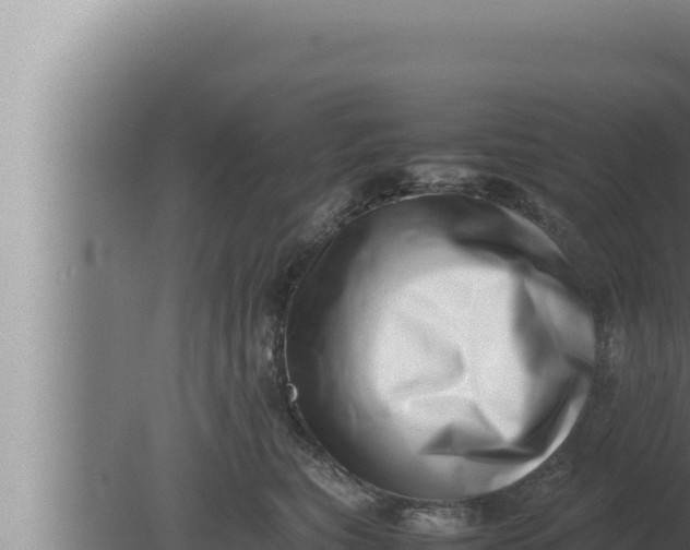 X0000080110567200612221808