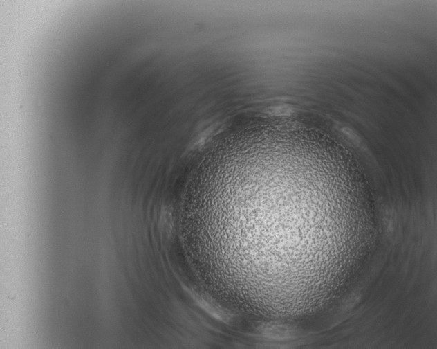 X0000080110568200612221808