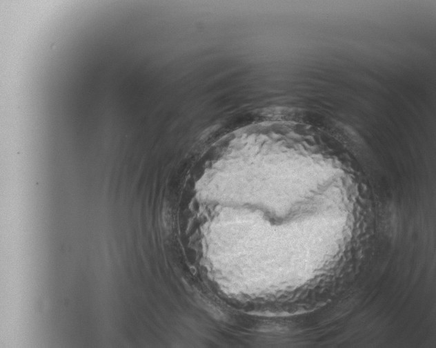 X0000080110569200612221808